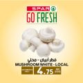 Spar Hypermarket Qatar offers 2021
