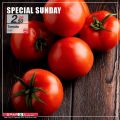 SPAR Qatar Offers  2020