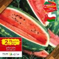 عروض أسواق القرية قطر 2022