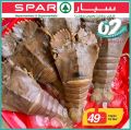SPAR Qatar Offers  2019