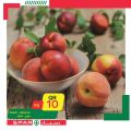 SPAR Qatar Offers  2020