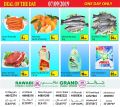 Al Rawabi Group Qatar Offers 2019