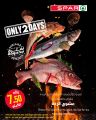 Spar Hypermarket Qatar Offers 2023