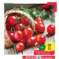 SPAR Qatar Offers  2020