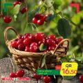 عروض سبار هايبرماركت قطر 2021