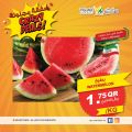 Village Markets Qatar Offers 2022