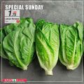 SPAR Qatar Offers  2020
