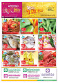 Al Rwabi Group Offers /  super market