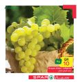 عروض سبار قطر 2020