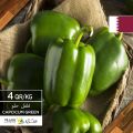 Village Markets Qatar offers 2020