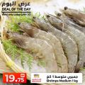 عروض انصار جاليرى قطر