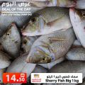 Ansar Gallery Qatar Offers 2019