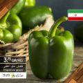 عروض أسواق القرية قطر 2020