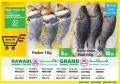 AlRawabi Group Qatar Offers 2019