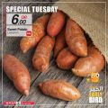 SPAR Qatar Offers  2020