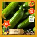 Village Markets Qatar offers 2021