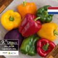 Village Markets Qatar Offers 2020