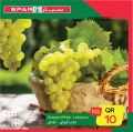 SPAR Qatar Offers  2020