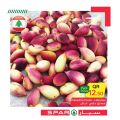spar qatar offers 2020