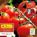 Village Markets Qatar Offers 2022