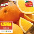 Village Markets Qatar Offers 2022