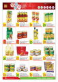 Al Rawabi Group qatar offers
