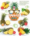Safari Hypermarket Qatar offers 2025