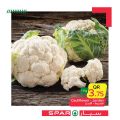SPAR Qatar Offers  2020