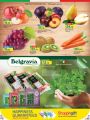 LULU Hypermarket Qatar Offers 2023