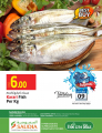 SeaFood Surprises - Saudia Hyper MarkeT