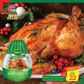 عروض سبار قطر 2020
