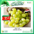 Village Markets Qatar Offers 2022