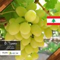 عروض اسواق القرية قطر 2020