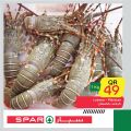 SPAR Qatar Offers  2020