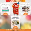 Food Palace Qatar offers 2022