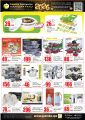 Panda Hypermarket Qatar offers 2025