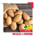 spar qatar offers 2020