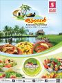 Safari Hypermarket Qatar offers