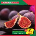 عروض سبار قطر 2020