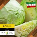 village markets qatar offers 2020