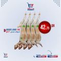عروض مترو ماركت قطر 2022