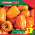 Spar Hypermarket Qatar offers 2021
