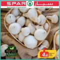 SPAR Qatar Offers  2019