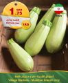 Village Markets Qatar Offers 2023