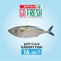 عروض سبار هايبرماركت قطر 2021