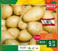 village markets qatar offers 2020