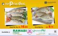 Al Rawabi Group Qatar Offers