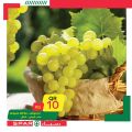 عروض سبار قطر 2020