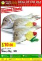 Panda Hypermarket Qatar offers  2020
