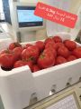 Al Gomla Mart Hypermarket Qatar offers 2020